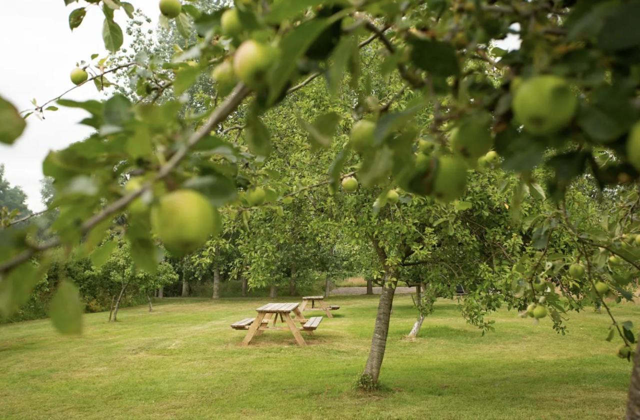 Tall Trees Glamping *