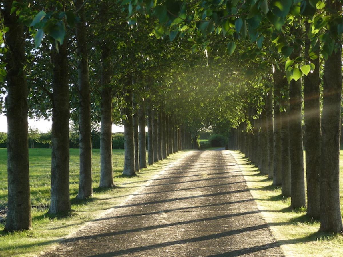 Tall Trees Glamping Lodge *