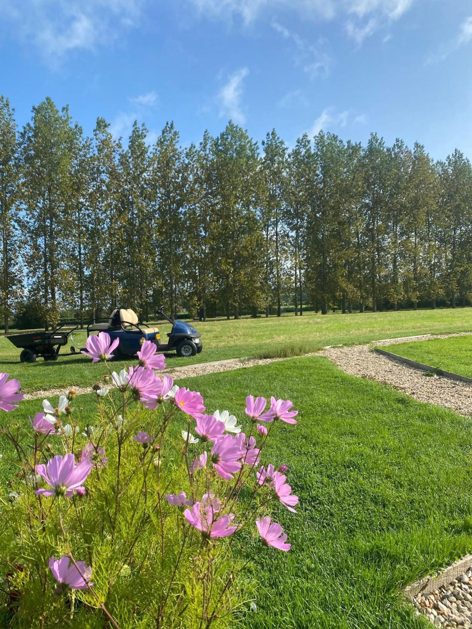Tall Trees Glamping * Baltonsborough
